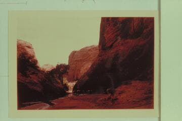 Down Coyote Gulch