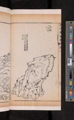 Go to image 242.