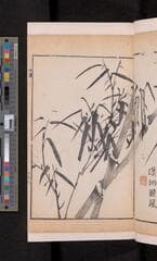 Go to image 191.