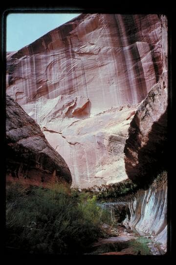 Forgotten Canyon