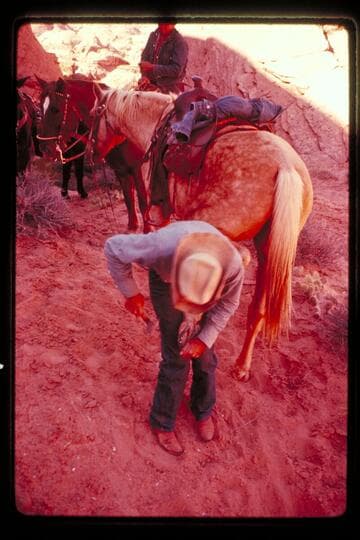 Tom shoes a horse