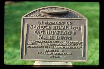 Separation plaque
