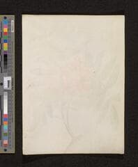 Go to image 206.