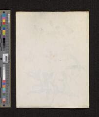 Go to image 244.