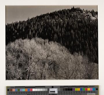 Taos, New Mexico