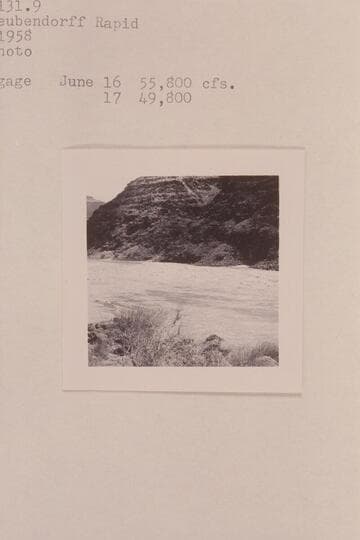 Head of Deubendorff [sic] Rapid
