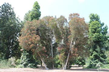 Go to image 4.