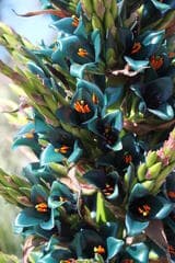 Go to image 6.