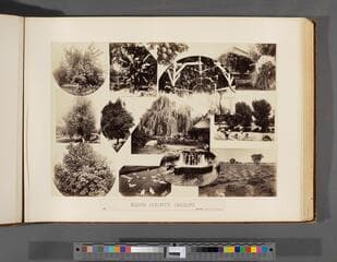 Go to image 15.