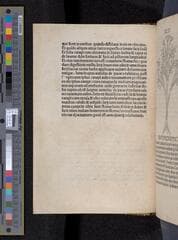 Go to image 118.