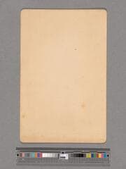 Go to image 49.