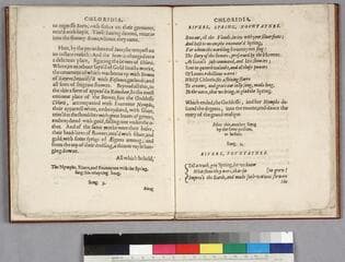 Go to image 7.