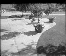 Go to image 7.