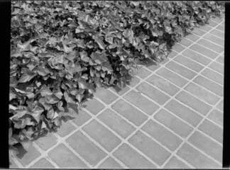 Go to image 20.