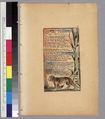 Go to image 23.