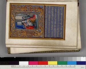 Go to image 9.