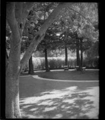 Go to image 12.