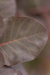 Go to image 10.