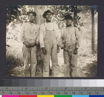 Boys with tree