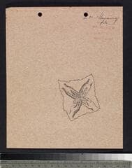Go to image 7.