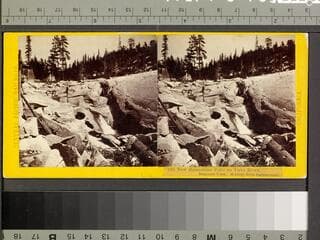 Go to image 1.