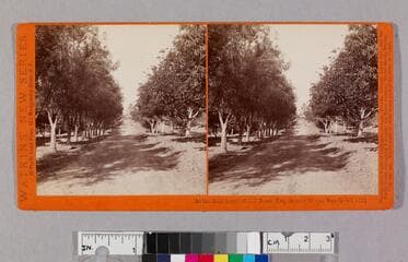 Go to image 1.