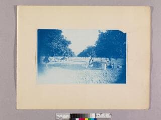 Go to image 10.