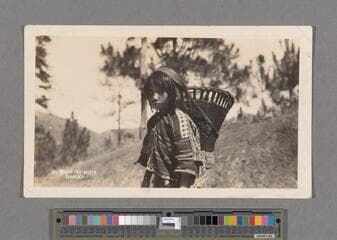Go to image 43.