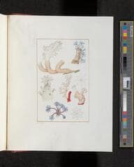 Go to image 403.