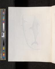 Go to image 324.