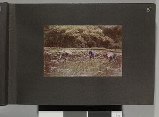 Go to image 7.