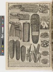 Go to image 14.