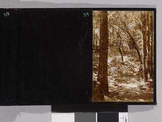 Go to image 61.