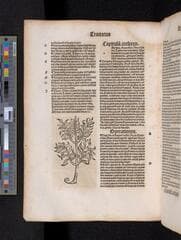 Go to image 376.