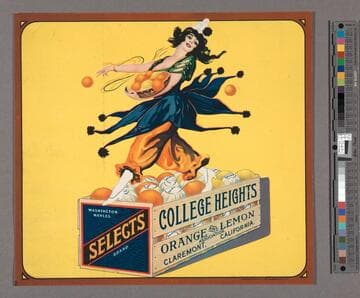 Selects Brand