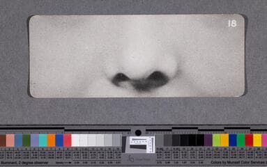 Go to image 49.
