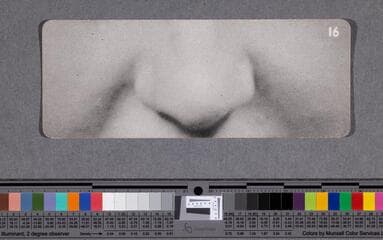 Go to image 45.