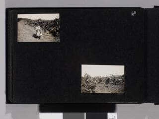 Go to image 62.