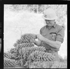 Go to image 2.