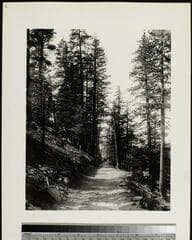 Go to image 34.