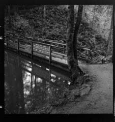 Go to image 10.
