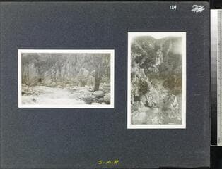 Go to image 135.