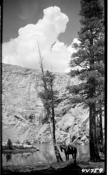 Big Creek Scenery