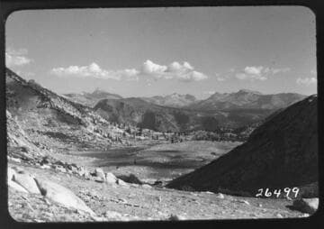 Fish Valley