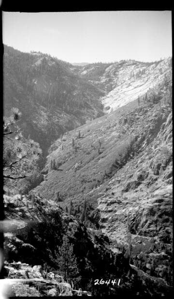 Fish Valley