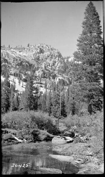 Fish Valley