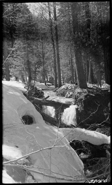 Big Creek General
