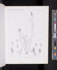 Go to image 318.