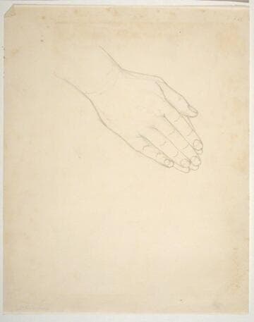 Hand Study