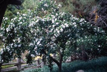 Go to image 6.